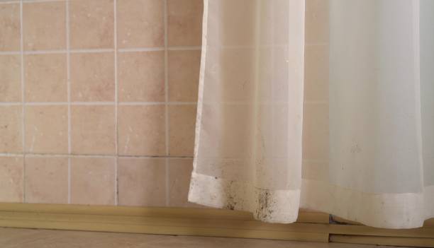 Best Indoor Air Quality Assessment  in Alta, IA