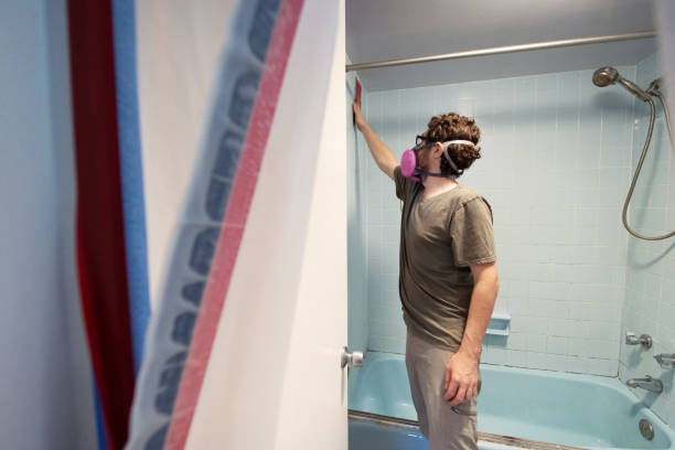 Mold Odor Removal Services in Alta, IA