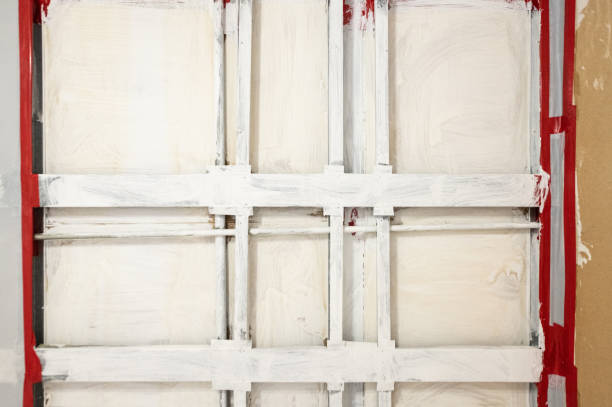 Best Mold Documentation for Insurance Claims  in Alta, IA